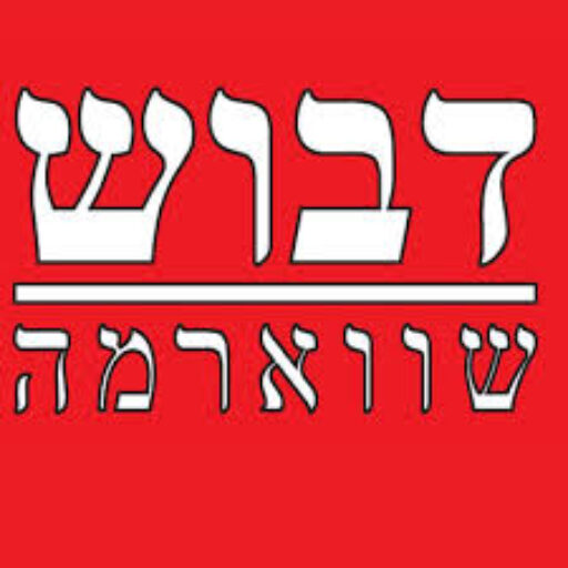 Dabush Shawarma: Bringing Authentic Israeli Flavor to Your Events